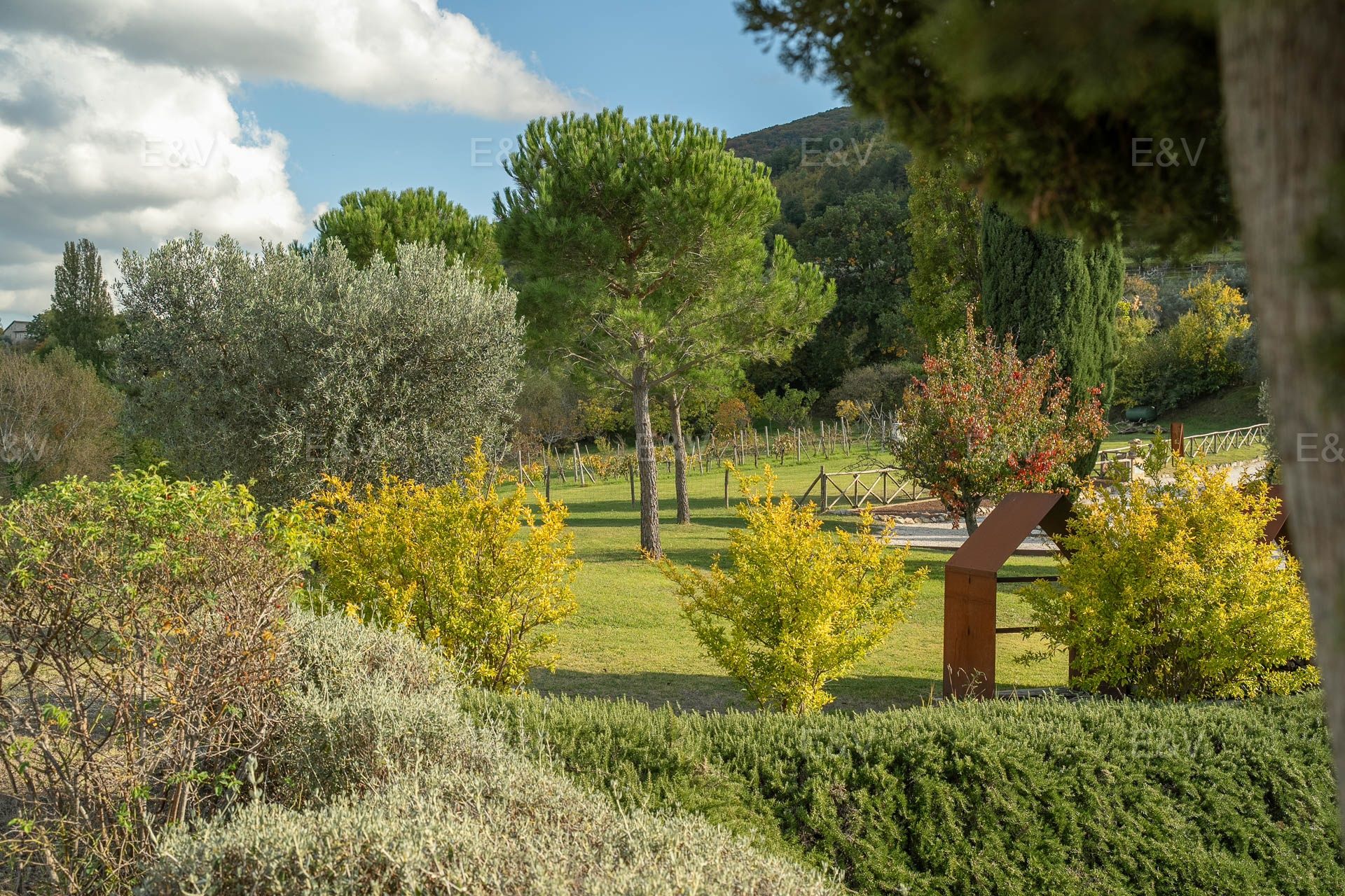 Italy Photo 5